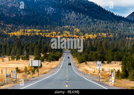 Pot o' Gold - California State Route 89 führt zu einer Überraschung Grove von bunten Espen unter den Evergreens. Hope Valley, Kalifornien, USA Stockfoto