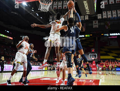 College Park, Maryland, USA. Jan, 2019 20. Maryland Dosenschildkröten und Penn State Lady Lions Spieler springen für eine Erholung im ersten Quartal bei Xfinity Center. Credit: Terrence Williams/ZUMA Draht/Alamy leben Nachrichten Stockfoto