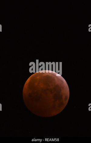 Wickford, Essex, Großbritannien. 21. Januar, 2019. Mondfinsternis - einen Blick auf die super Blut wolf mond Bild: Ben Rektor/Alamy leben Nachrichten Stockfoto