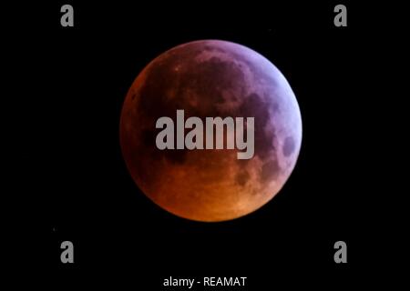 Worthing, Großbritannien. 21. Januar, 2019. Super Blood Red wolf mond am Montag, 21. Januar 2019, wie von newtownards gesehen. Roten Farbton des Blut Mond ist das Ergebnis von Sonnenlicht durch staubige, der verschmutzten Atmosphäre der Erde reisen. Die Kürzere, biegsamer blauen Wellenlängen des Lichts sind verstreut außerhalb den Schatten der Erde und mehr, weniger biegsam roten Wellenlängen sind auf den Mond gebrochen.. Credit: Julie Edwards/Alamy leben Nachrichten Stockfoto