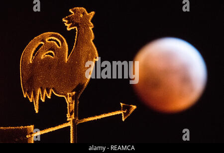 Laatzen, Deutschland. Jan, 2019 21. Verdunkelt, der Vollmond erscheint als so genannte 'Blood Moon' und erscheint rötlich - hinter einem Wetterhahn auf dem Dach eines Hauses fotografiert. Mond, Sonne und Erde sind genau in einer Linie während einer Mondfinsternis. Credit: Julian Stratenschulte/dpa/Alamy Leben Nachrichten Quelle: dpa Picture alliance/Alamy leben Nachrichten Stockfoto