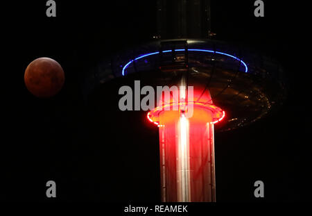 Brighton, UK. 21. Januar 2019 ein Super Blut wolf mond hinter der British Airways ich 360 Beobachtungsturm in Brighton gesehen während einer Mondfinsternis. Credit: James Boardman/Alamy leben Nachrichten Stockfoto