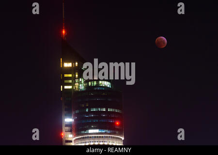 Wien, Österreich. 21. Januar, 2019. Wien, Wien: Lunar Eclipse, Blut Mond, sanguine Mond, Vollmond im Millennium Tower 20. Brigittenau, Wien, Österreich Kredit: volkerpreusser/Alamy leben Nachrichten Stockfoto