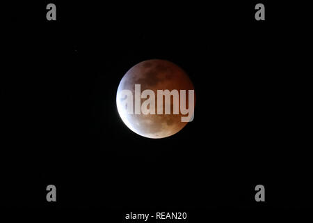 Los Angeles, Kalifornien, USA. 20. Januar, 2019. Die Mondfinsternis und Blut Mond wie aus Los Angeles am 20 Januar, 2019 gesehen. Credit: Sheri Determan Credit: Sheri Determan/Alamy leben Nachrichten Stockfoto