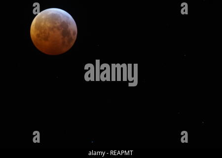 Newcastle upon Tyne. UK. 21. Januar, 2019. Totale Mondfinsternis - Blut Mond - Supermoon. Mit 500-mm-Objektiv aufgenommen. DavidWhinham/AlamyLive Credit: David Whinham/Alamy leben Nachrichten Stockfoto