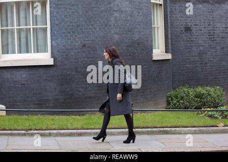 London, UK, 21. Januar 2019, Premierminister von Neuseeland, Jacinda Ardern, kamen um 10, Downing Street, London und wurde herzlich vom Premierminister, Theresa May an der Tür begrüßt. Sie treffen sich im Vorfeld des World Economic Forum in der Schweiz von morgen. Jacinda ist ein neuseeländischer Politiker als 40. und Premierminister von Neuseeland, das seit dem 26. Oktober 2017. Credit: Keith Larby/Alamy leben Nachrichten Stockfoto