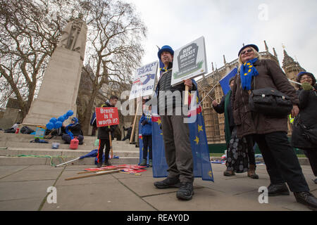 London, Großbritannien. 21. Januar 2109. Pro und Anti Brexit Demonstranten vor und rund um das Parlamentsgebäude. Credit: George Cracknell Wright/Alamy leben Nachrichten Stockfoto