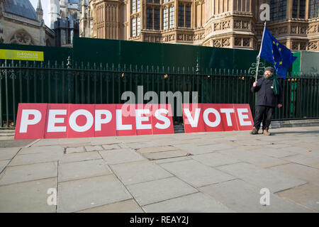 London, Großbritannien. 21. Januar 2109. Pro und Anti Brexit Demonstranten vor und rund um das Parlamentsgebäude. Credit: George Cracknell Wright/Alamy leben Nachrichten Stockfoto