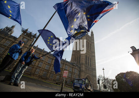 London, Großbritannien. 21. Januar 2109. Pro und Anti Brexit Demonstranten vor und rund um das Parlamentsgebäude. Credit: George Cracknell Wright/Alamy leben Nachrichten Stockfoto