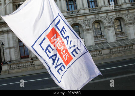 London, Großbritannien. Januar 2019 21 - eine Pro-Brexit demonstrator Wellen eine Fahne auf Whitehall. Später heute der britische Premierminister Theresa kann eine Erklärung im Unterhaus über eine alternative Brexit Deal machen. Credit: Dinendra Haria/Alamy leben Nachrichten Stockfoto