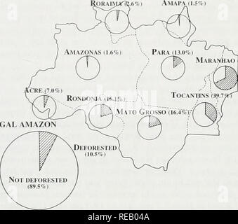 . Die Erhaltung Atlas der tropischen Wälder: In Nord- und Südamerika. Brasilien. Rechtliche AMAZON Abbildung 25,6 Prozentsatz der ursprünglichen Wald in jedem Zustand verloren und insgesamt in brasilianischen rechtlichen Amazonien von 1991. Kontaktflächen zwischen Wald und cenado in Maranhao, Tocantins, Mato Grosso. In Maranhao, nur eine von zehn Vegetarisches - tation Typen hat derzeit Schutz. Die Mitgliedstaaten mit den geringsten ihrer Ökosysteme geschützt (Abbildung 25.5) In der Regel sind diejenigen, die bereits den größten Anteil an der Waldfläche verloren haben (Abbildung 25.6). Zwar gibt es eine beträchtliche Anzahl von Schutzgebieten in An Stockfoto