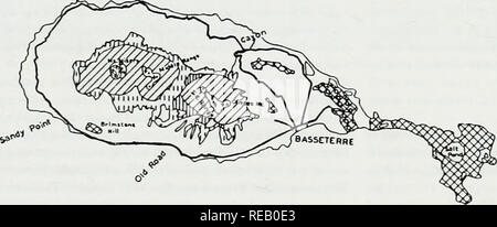 . Die Erhaltung Atlas der tropischen Wälder: In Nord- und Südamerika. Kleine Antillen Newcastle Bay. Pinneys Immobilien und der Mund der Badewanne Stream (Rodrigues, 1990). Es gibt keinen Wald das Management oder den Schutz Programm auf Nevis und die Insel hat keine aktive Forstwirtschaft Einheit trotz propos - als für die Waldbewirtschaftung in der Karibik Entwicklung als vor langer Zeit vorbereitet worden als 1983. Die entwaldung Die meisten Nevis unter 600 m ist seit den späten 1600s und so früh wie 1687 von Sloane (1707) wurde berichtet, dass "das Clearing von Land fast an die Spitze der zentralen Berg erweiterte angebaut Stockfoto
