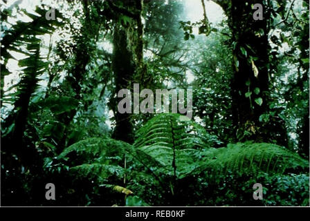 . Die Erhaltung Atlas der tropischen Wälder: In Nord- und Südamerika. Geschützte Bereiche, Kategorien und Management Ziele der Schutzgebiete I Wissenschaftliche Reservieren/Strenge Naturschutzgebiet: zum Schutz der Natur und der natürlichen Prozesse in einem undis turbed aufrechtzuerhalten, um ökologisch Vertreter Beispiele der natürlichen Umwelt für wissenschaftliche Studien zur Verfügung, Umweltüberwachung, Bildung und für die Erhaltung der genetischen Ressourcen in einem dynamischen und eolutionary Zustand. II National Park: Natur und Landschaften von nationaler oder internationaler Bedeutung für wissenschaftliche, educ zu schützen. Stockfoto