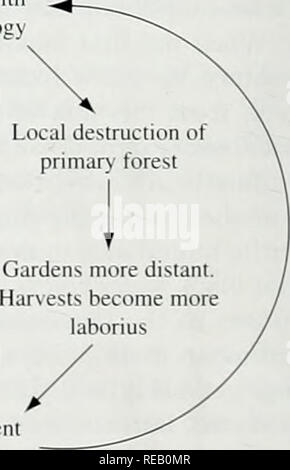 . Die Erhaltung Atlas der tropischen Wälder: In Nord- und Südamerika. Wald Völker respektieren wir den Wald "Wir Inder geboren wurden, Arbeiten, Leben anil sterben, sterben, sterben Becken Madre de Dios Fluß von Peru. Es ist unser Land - sterben nur duniJ haben Wir, mit seinen Pflanzen, Tieren und kleinen Betriebe: eine Umgebung, in der wir die Welt verstehen und verwenden. Wir sind nicht wie die, die von außerhalb, die klar alles erreichen wollen, die Zerstörung der Reichtum und verlassen den Wald für immer zerstört. Wir den Wald Achtung, wir machen es für uns produzieren. Viele Leute fragen, warum wir so viel Land haben wollen. Sie denken, daß wir nicht alle Arbeiten. Aber wir arbeiten es differen Stockfoto