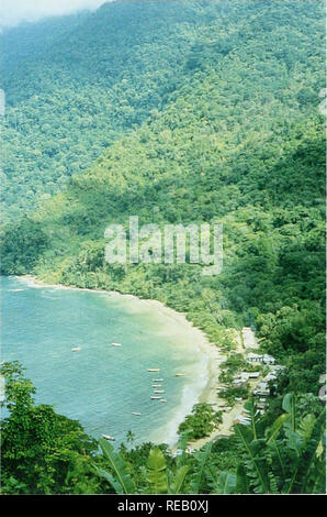 . Die Erhaltung Atlas der tropischen Wälder: In Nord- und Südamerika. Einführung Länderstudien in den Länderkapiteln in Pari II des Atlas folgen dem gleichen Tor-mat wie diejenigen, die in der Asiatischen und Afrikanischen Volumes auf die Situation in jedem Land im Detail. Soweit möglich, die Autoren Staatsangehörige oder Einwohner der betroffenen Länder. Wo lokale Autoren konnte nicht gefunden werden, lokale Pro-spectives wurden im Text retlected wurde durch die Prüfer in dem betreffenden Land. Viele der ursprünglichen Texte wurden in Spanisch oder wurden von Menschen, deren Muttersprache nicht geschrieben wurde Engli Stockfoto
