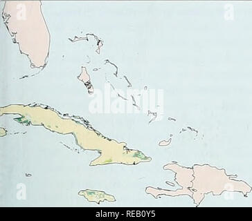 . Die Erhaltung Atlas der tropischen Wälder: In Nord- und Südamerika. Einführung.cz?------ w - y0^ - 0 0-u s degradiert Mangrove degradiert Bergwald" Degradierten Wald am Bergfuß degradiert Tiefland feuchten Wald^ degradiert Kiefernwald Qoud Abdeckung keine Daten keine der oben genannten. Bitte beachten Sie, dass diese Bilder sind von der gescannten Seite Bilder, die digital für die Lesbarkeit verbessert haben mögen - Färbung und Aussehen dieser Abbildungen können nicht perfekt dem Original ähneln. extrahiert. Harcourt, C.S., Sayer, J.A., WCMC, CIFOR. IUCN Stockfoto
