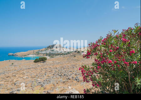 Blick auf die Stadt Lindos und Schloss mit alten Ruinen der Akropolis auf sonnigen warmen Tag. Ansicht mit Blumen rot Nerium oleander blühen eingerahmt. Stockfoto