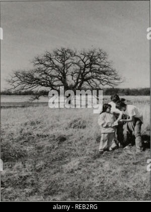 . Erhaltung 2000: Sechs Jahre Bericht. Illinois. Abt. der natürlichen Ressourcen; kritische Trends Assessment Program; Ökosystem Management; Gewässerschutz; Wasserqualität; Wasserscheiden; Erhaltung der natürlichen Ressourcen. Ein letzter Gedanke die Herausforderungen eines landesweiten Programms mit dem Ziel des Schutzes, der Erhaltung und der en-hancing unsere natürlichen Ökosysteme vereint das Ökosystem Partnerschaften, die im Rahmen eines bestimmten Programms, Erhaltung 2000. Obwohl die einzelnen lokalen Partnerschaft Räte (LPC) der Arbeit an verschiedenen Projekten und Themen im Rahmen ihrer jeweiligen Einzugsgebiete sein können, sind sie Sharing knowledg Stockfoto