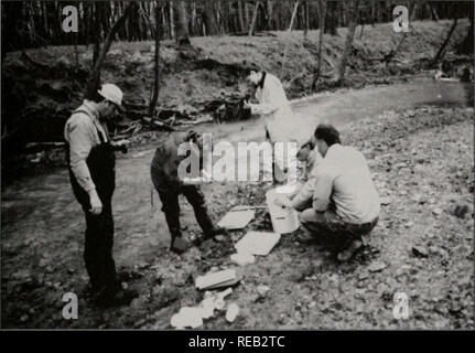 . Erhaltung 2000: Sechs Jahre Bericht. Illinois. Abt. der natürlichen Ressourcen; kritische Trends Assessment Program; Ökosystem Management; Gewässerschutz; Wasserqualität; Wasserscheiden; Erhaltung der natürlichen Ressourcen. "Ich - '''RiverWatch Überwachung auf Sugar Creek im südlichen Illinois vor der kritischen Trends Assessment Program (CTAP), bestehende staatliche Datenbanken genau nicht ausreichten, um die AS-sess Trends im Ökosystem Gesundheit auf eine landesweite Grundlage. Die Illinois EcoWatch Netzwerk Adressierung, diese Informationslücke durch die Verknüpfung der Anstrengungen des CTAP Wissenschaftler und traine Stockfoto