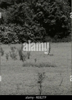 . Erhaltung 2000: Sechs Jahre Bericht. Illinois. Abt. der natürlichen Ressourcen; kritische Trends Assessment Program; Ökosystem Management; Gewässerschutz; Wasserqualität; Wasserscheiden; Erhaltung der natürlichen Ressourcen. Ecosystem Monitoring erweitert die wissenschaftliche Grundlage die statistische Basis der Collaborative Management natürlicher Ressourcen in die Zukunft zu verschieben, neue Methoden der Forschung geschaffen. Historische Einschätzungen auf fragmentierte Daten basierend wurde mit einem langfristigen Monitoring Netzwerk, bietet aktuelle Informationen über den Zustand der wichtigsten Ökosysteme stellen ersetzt. CTAP Stockfoto