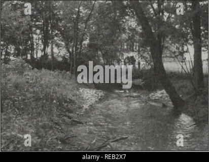 . Erhaltung 2000: Sechs Jahre Bericht. Illinois. Abt. der natürlichen Ressourcen; kritische Trends Assessment Program; Ökosystem Management; Gewässerschutz; Wasserqualität; Wasserscheiden; Erhaltung der natürlichen Ressourcen. KISHWAUKEE RIVER PARTNERSCHAFT Northern Illinois Projekt # 001-98 Little Blue Heron Creek Instabilität resultierte aus landwirtschaftlichen Stream channelizations und erhöhten Abfluss Preise ab, die wichtigsten Entwicklungen. Die pri-vate Grundstückseigentümer wurde sowohl über Hochwasser und erhöhte stream Erosion betroffen. Stream Erosion in der Kanalisierten erreichen unterboten ma-ture-stücken und erstellt Logjam Stockfoto