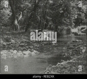 . Erhaltung 2000: Sechs Jahre Bericht. Illinois. Abt. der natürlichen Ressourcen; kritische Trends Assessment Program; Ökosystem Management; Gewässerschutz; Wasserqualität; Wasserscheiden; Erhaltung der natürlichen Ressourcen. Ha rrfeaK Crack Abbildung I Jnhii Stäbe: itcr. Das nebenstehende Bild zeigt eine der fünf Hall Creek (Post) Wehre und Stromschnellen install-lationen, mit einem seitlichen Kanal Feuchtgebiet. Rockford Blacktop Inc. gespendet Alle schwere Geräte, Fahrzeuge, Personal und Stein zu diesem 1500 Fuß-Projekt in 1996 abgeschlossen. Das C2000 Ökosysteme Herbstkonferenz, der Turm Farm tourte Stockfoto