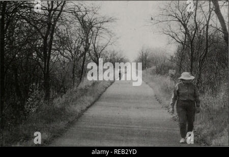 . Erhaltung 2000: Sechs Jahre Bericht. Illinois. Abt. der natürlichen Ressourcen; kritische Trends Assessment Program; Ökosystem Management; Gewässerschutz; Wasserqualität; Wasserscheiden; Erhaltung der natürlichen Ressourcen. Old Plank Road Trail", der dritte Teil beschreibt den Prozess, die Arbeit fortzuführen. Es umfasst die mögliche nächste Schritte und organisatorischen Struk- tur innerhalb der Partnerschaft entwickelt werden. Die Verantwortlichen für die Umsetzung des Plans müssen engagiert und ermächtigt werden. Der vierte und letzte Abschnitt besteht aus Zusätzliche Informationen und Anhänge Stockfoto