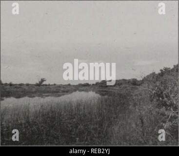 . Erhaltung 2000: Sechs Jahre Bericht. Illinois. Abt. der natürlichen Ressourcen; kritische Trends Assessment Program; Ökosystem Management; Gewässerschutz; Wasserqualität; Wasserscheiden; Erhaltung der natürlichen Ressourcen. Die Illinois Illinois Watershed Watershed Akademie Die Akademie wurde 1999 an der Universität von Illinois geschaffen, um die Anstrengungen der Verantwortlichen und Freiwilligen der Wasserscheide des Staates und Ökosystem Ökosystem Partnerschaften zur Verbesserung der Qualität zu unterstützen. In der Erkenntnis, dass Probleme wie Überschwemmungen, Erosion, übermäßige Sedi und Verschlechterung der Wasserqualität sind die meisten effek- tive Stockfoto