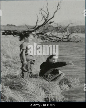 . Erhaltung 2000: Sechs Jahre Bericht. Illinois. Abt. der natürlichen Ressourcen; kritische Trends Assessment Program; Ökosystem Management; Gewässerschutz; Wasserqualität; Wasserscheiden; Erhaltung der natürlichen Ressourcen. "In 1992, Carl und Myra Nygren ausgewählt, um die natürliche Land InstitutefNLI) als Re-Empfänger Ihrer Immobilien mit der Auflage, dass das Geld benutzt werden, zu kaufen und dauerhaft schützen Land in der Winnebago County, IL. 1997 NLI gelernt, dass 688 Hektar am Zusammenfluss der Rock- und Pecatonica Flüsse für Verkauf war. Es war für viele Jahre bewirtschaftet worden, obgleich häufig Stockfoto