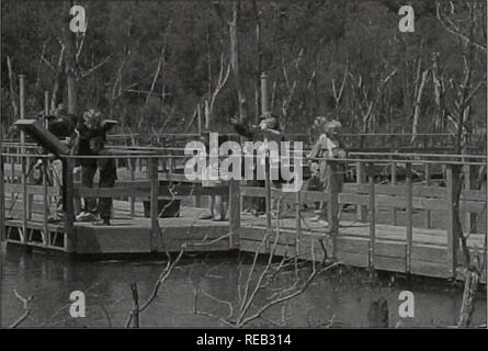 . Erhaltung 2000: Sechs Jahre Bericht. Illinois. Abt. der natürlichen Ressourcen; kritische Trends Assessment Program; Ökosystem Management; Gewässerschutz; Wasserqualität; Wasserscheiden; Erhaltung der natürlichen Ressourcen. Ressourcenökonomik und outreach Zuschüsse bringen die Bürger in die Sumpfgebiete. VERMILION FLUSS PARTNERSCHAFT - Eastern Illinois C 2000 Grant #002-00 Promenade für Wetland Education Phase I Auszug aus dem Antrag "Die Vermilion river Eco-system Partnerschaft hat in ihm eine einzigartige Gegend von Feuchtgebieten. Informelle Kommunika- nity Erhebungen und die Ziele unserer Partnerschaft für Out-r Stockfoto