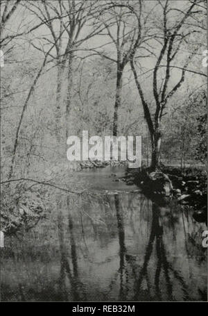 . Erhaltung 2000: Sechs Jahre Bericht. Illinois. Abt. der natürlichen Ressourcen; kritische Trends Assessment Program; Ökosystem Management; Gewässerschutz; Wasserqualität; Wasserscheiden; Erhaltung der natürlichen Ressourcen. Der Zweck der Ökosysteme Programm ist auf die Interessen und Partizipation der lokalen Gemeinschaften und pri-vate, öffentlichen und Cor-Firmen Grundbesitzer zu erhöhen und die wasserscheiden durch Ökosystem schützen-basiertes Management integrieren. Die Ökosysteme Programm wird durch Erhaltung 2000 (C 2000), eine umfassende finanziert- fassenden langfristig den Schutz und die Verwaltung von illi - keine Stockfoto