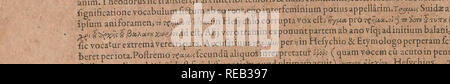 . Conradi Gesneri medici Tigurini Historiae animalium liber Primus de quadrupedibus viuiparis: Opus philosophis, Medici, grammaticis, philologis, poeÌtis, &Amp; Omnibus rerum linguarumqÌue variarum studiosis, vtilissimum simul iucundissimumqÌue futurum. Pre-Linnean arbeitet; Zoologie. capr^ iyuto--. -. -. PafcuacircaripaseflcfolentrpoftremojquoniacurLiisambagibus cQrnuaimitantur, Varinus, Taurus^ vtide ha- = Wette:, Alpheofluiiioimmolabatur. vtNeptunoquoq;. In vniucrfumenim taurusamniu naturjEconuenitcu alias, tuqUiavioientueftanimalj&amp; cornibusterrareijeit. TaurorufpeciefimuIachra flumiii&amp;-id Stockfoto