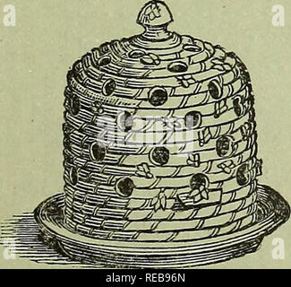 . Niederländische Lampen &Amp; Blüte Wurzeln: Kleine Früchte und Verbrauchsmaterialien, Anlagen für winterblüher, Samen für den Herbst Aussaat, etc. zum Verkauf an Peter Henderson &Amp; Co.Same Store, 35 Cortlandt Street, New York. Saatgut Industrie und Handel Kataloge Kataloge; Blumen; Samen Samen Samen Kataloge Kataloge; Gräser, Pflanzen, Zierpflanzen, Gemüse Samen Kataloge Kataloge. Nr. 4 r. Große böhmische Jedes Pr-doz Blau oder Grün, Ebene 0 $ 50 $ 5 00 vergoldeten 75 7 50" "emailliert... 75 7 50 Jede Pr-doz RUBY, Ebene 0 $ 60 $ 6 00 75 7 50 "vergoldeten" graviert 75 7 50 Triple Hyazinthe Gläser, FÜR WACHSENDE DREI HYACIN Stockfoto