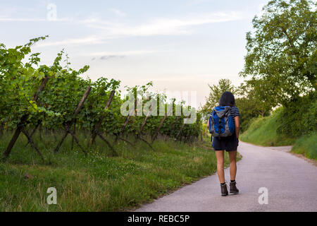 Eine junge Frau mit Rucksack und Wanderschuhe Trekking entlang einer Spur entlang der Weinberge. Stockfoto