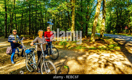 Senioren Radfahren auf den vielen Radwegen in den Wäldern der Veluwe in den Niederlanden Stockfoto