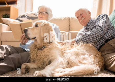 Portrait von Happy senior Paar mit Hund zu Hause, auf wunderschönen Golden Retriever im Vordergrund konzentrieren, kopieren Raum Stockfoto