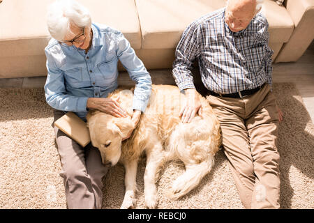 Hohen winkel Portrait von Happy senior Paar Kuscheln mit Hund sitzen auf dem Boden zu Hause im Sonnenlicht Stockfoto