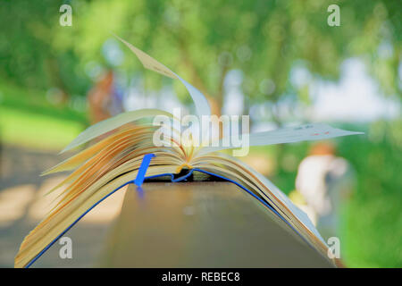 Wind dreht die Seiten von Open Notebook liegt auf hölzernen Handlauf in Park, Geschäftskonzept. Stockfoto