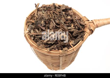Getrocknete Kraut der Heilpflanze Pei Lan (eupatorium Undulata) Stockfoto