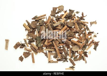 Getrocknete Kraut der Heilpflanze Pei Lan (eupatorium Undulata) Stockfoto