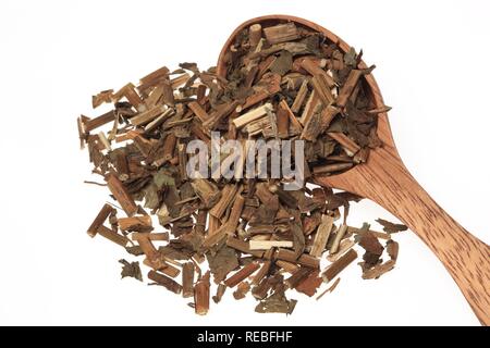 Getrocknete Kraut der Heilpflanze Pei Lan (eupatorium Undulata) Stockfoto