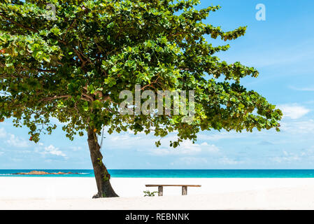 Bank unter einem Baum an einem schönen weißen Sand tropischen Strand in Bintan Island, Indonesien Stockfoto
