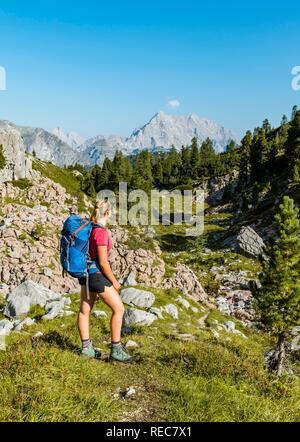 Wanderer mit Rucksack in die Ferne schaut, Wanderweg im Funtenseetauern, Watzmann, Nationalpark Berchtesgaden Stockfoto