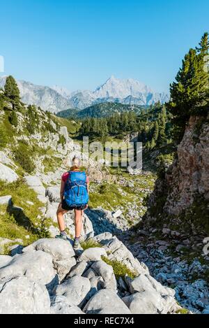 Wanderer mit Rucksack in die Ferne schaut, Wanderweg im Funtenseetauern, Watzmann, Nationalpark Berchtesgaden Stockfoto