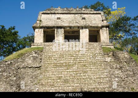 Palenque, UNESCO-Weltkulturerbe, Templo del Conde, der Tempel des Grafen, Yucatan, Mexiko Stockfoto