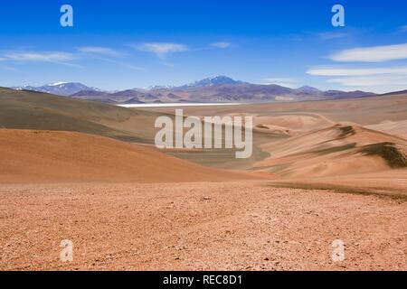 Laguna Brava, Reserva Provincial Las Vicuñas, hohen Anden, La Rioja Provinz, Argentinien Stockfoto