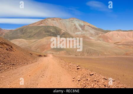 Reserva Provincial Las Vicuñas und Laguna Brava, hohen Anden, La Rioja Provinz, Argentinien Stockfoto