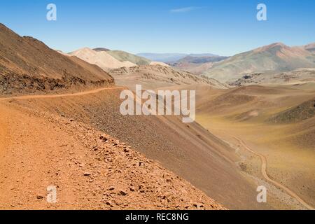 Reserva Provincial Las Vicuñas und Laguna Brava, hohen Anden, La Rioja Provinz, Argentinien Stockfoto