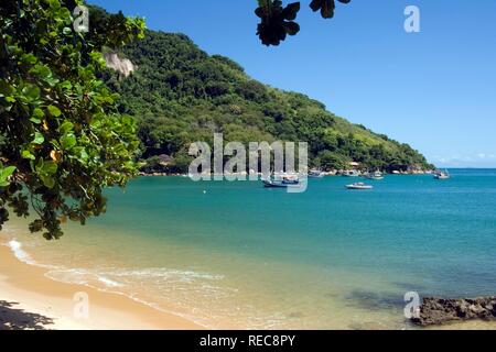 Picinguaba Strand, Ubatuba, Atlantik, Sao Paulo, Brasilien Stockfoto