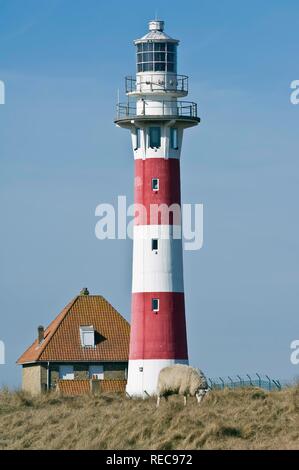 Leuchtturm, Nieuwpoort, Belgische Nordsee Küste, Belgien Stockfoto